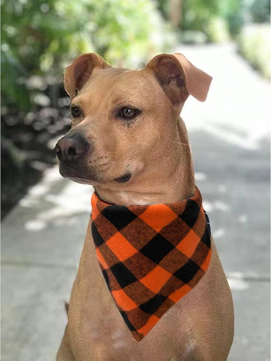 Fall Dog Bandanas 2 Pack, Orange Plaid Pet Scarf for Boy and Girl, Premium Durable Fabric, Holiday - Orange / Small - image 3