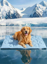 Huafly Dog Cooling Mat,Dual-Sided Cooling Mat for Dogs Cloud Blue – Essentials for Dogs - XL: 60.0" L x 40.0" W x 0.8"Th