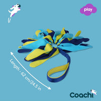 Coachi Tuggi Tug, Interactive Dog Toy for Tug of War & Play - Tuggi Spider - image 4
