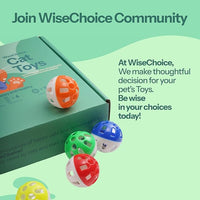 WiseChoice 15-in-1 Cat Toys, Rechargeable Dot Chase Light, Cat Spring Toy, Ball Toys with Bell and Plush Toy, Perfect for Solo or Interactive Gifts for Cats Kitten