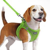 Eagloo Small Dog Harness and Leash Set - M(Chest:16.0"-18.5") / Green