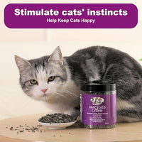 Organic Natural Catnip Cattle Grass Mint Taste Funny Cat Toy New Cat Toy Interactive Cat Toys Pet Supplies
