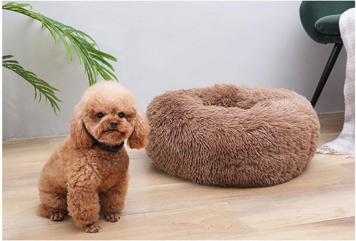 Cat Bed for Indoor Cats, Mini Plush Self Warming Kitten Bed - Small 20'' / Coffee - image 2