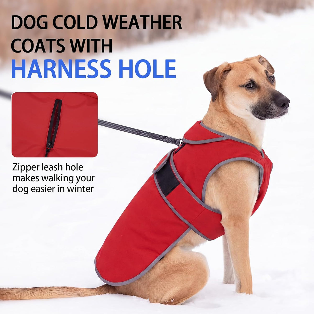 MIGOHI Warm Dog Coat Waterproof Winter Dog Jacket, M - Red / Medium - image 2