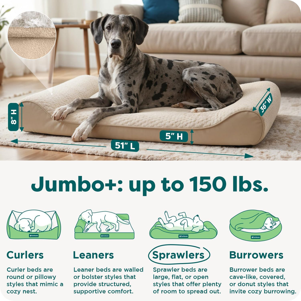 FurHaven Orthopedic Dog Bed for Large Dogs - Jumbo Plus/XXL / Cream - image 3