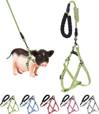 YeeBeny Mini Pig Harness Adjustable with Leash Foam Handle Pink - Green / XL
