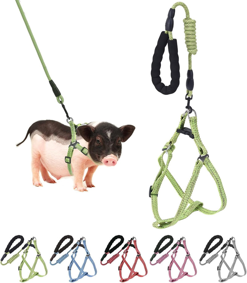 YeeBeny Mini Pig Harness Adjustable with Leash Foam Handle Pink - Green / XL