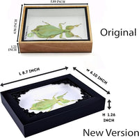 Tarantula or Leaf Insect in Gothic Shadow Box Frame | Mexican Gothic Taxidermy | Witch & Halloween Décor for Bedroom | Goth Home Décor (Leaf Insect)