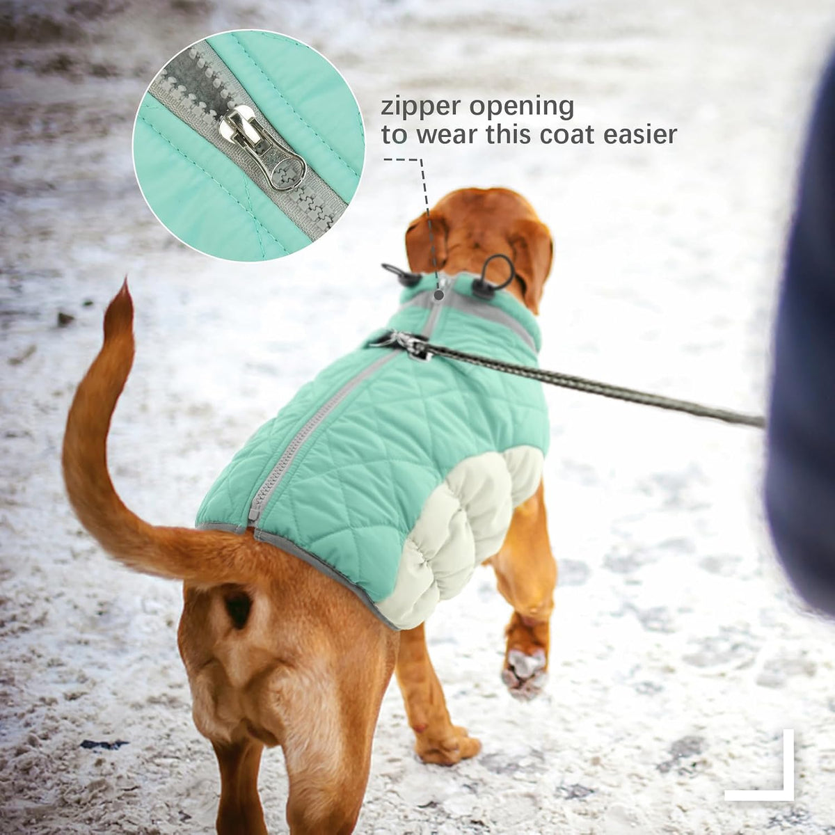 Dog Cold Weather Coats Reflective Dog Warm Jacket with Harness – Essentials for Dogs - Mint Green / S(chest:17in) - image 3