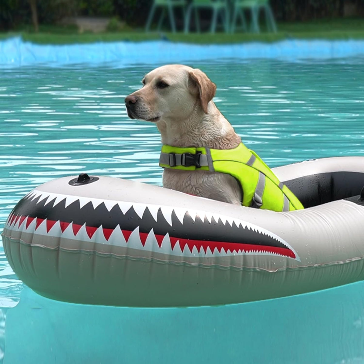 Kuoser Reflective Dog Life Jacket - S (Chest Girth:16.9-21.3'') / Green - image 4