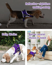 AUROTH Dog Harness for Large Dogs No Pull Tactical Harness and Leash - Purple / S(Neck:13.4"-19.7",Chest:20.5"-26") - image 2