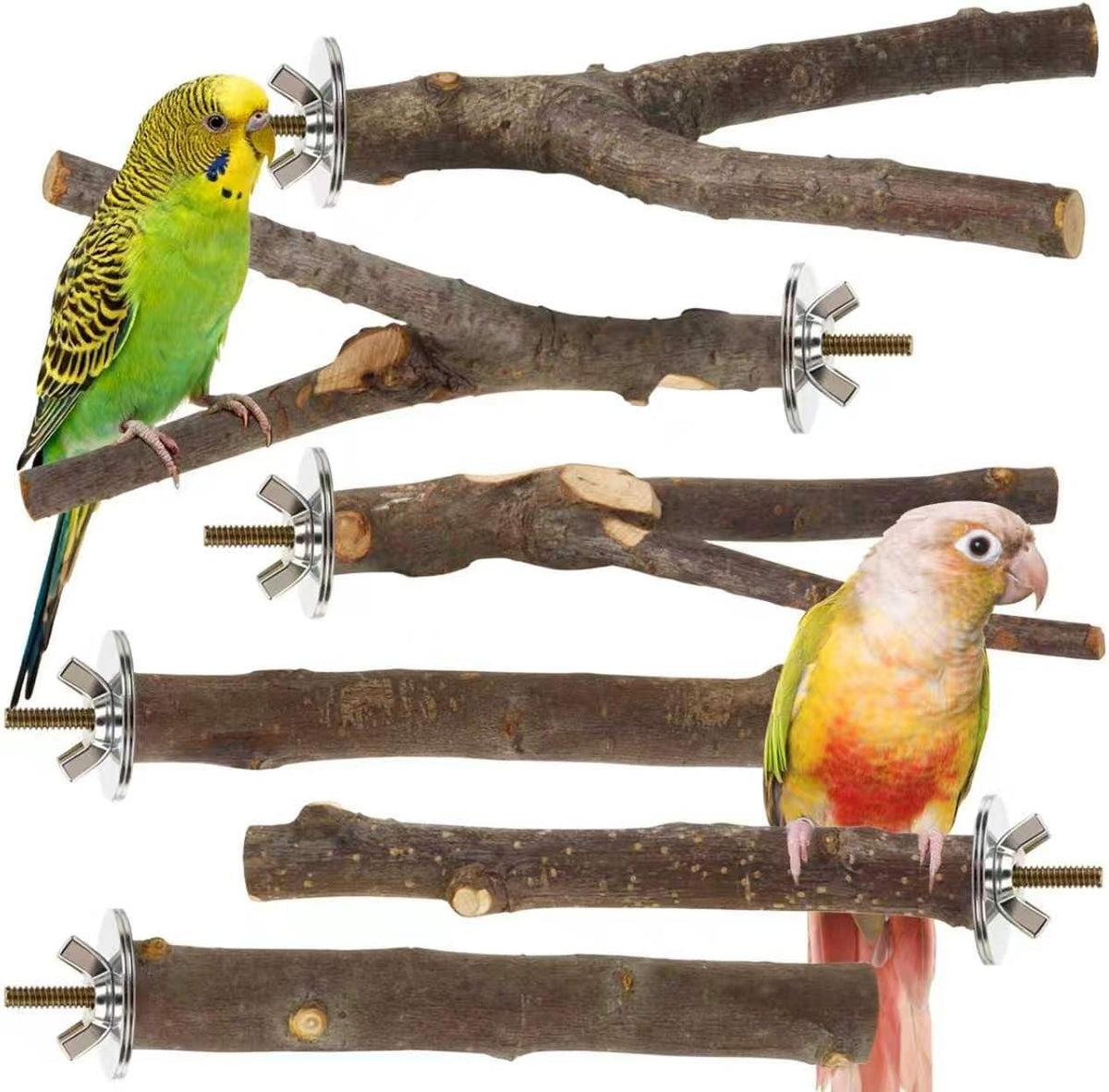 8 Pack Natural Wood Bird Perches for Cage, Wooden Parrot Perch – Essentials for Birds - Medium Size-6 Pack