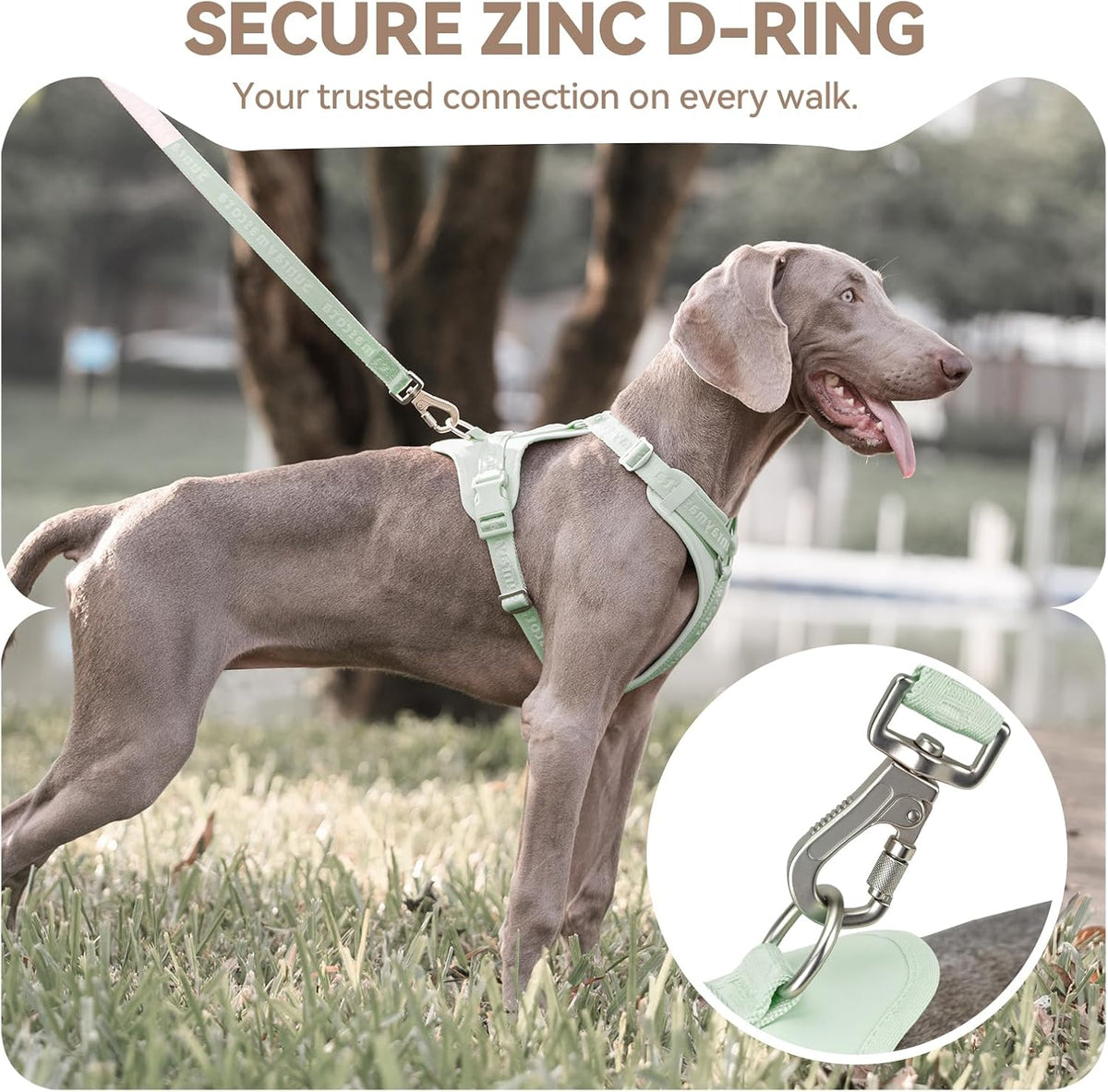 Sunraymascota Dog Harness - XL (Neck: 21-38", Chest: 29-45") / Light Green - image 3