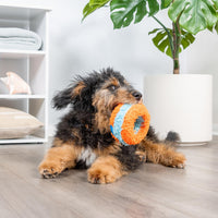 Chuckit! Indoor Fetch Ball Dog Toy, Orange and Blue - Orange & Blue Squirrel / 4.7 inches (1 Pack) - image 4
