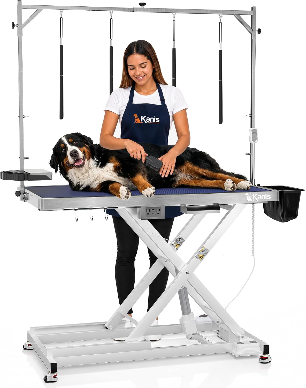 Professional Electric Dog Grooming Table, Heavy Duty - WHITE / 49"