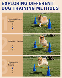 Dog Agility Course Backyard Set - 12 IN / Blue - image 3