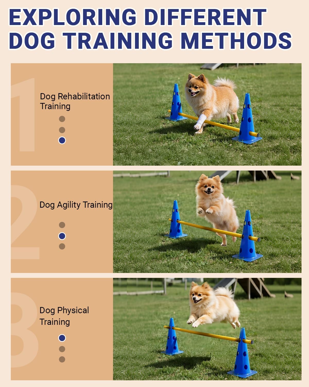 Dog Agility Course Backyard Set - 12 IN / Blue - image 3