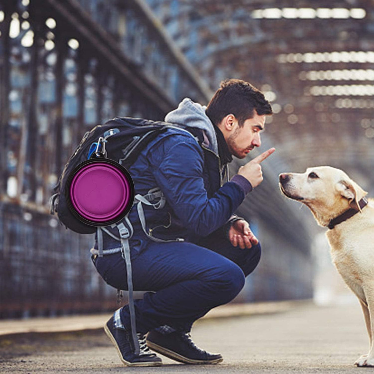 Large Collapsible Dog Bowls - Large,34oz / 34oz-Purple&Red - image 2