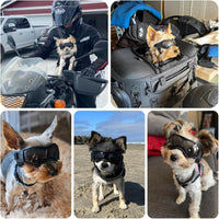 Dog Sunglasses for Extra Small Breed UV Protection Windproof XS Dog - X-Small / Black - image 2