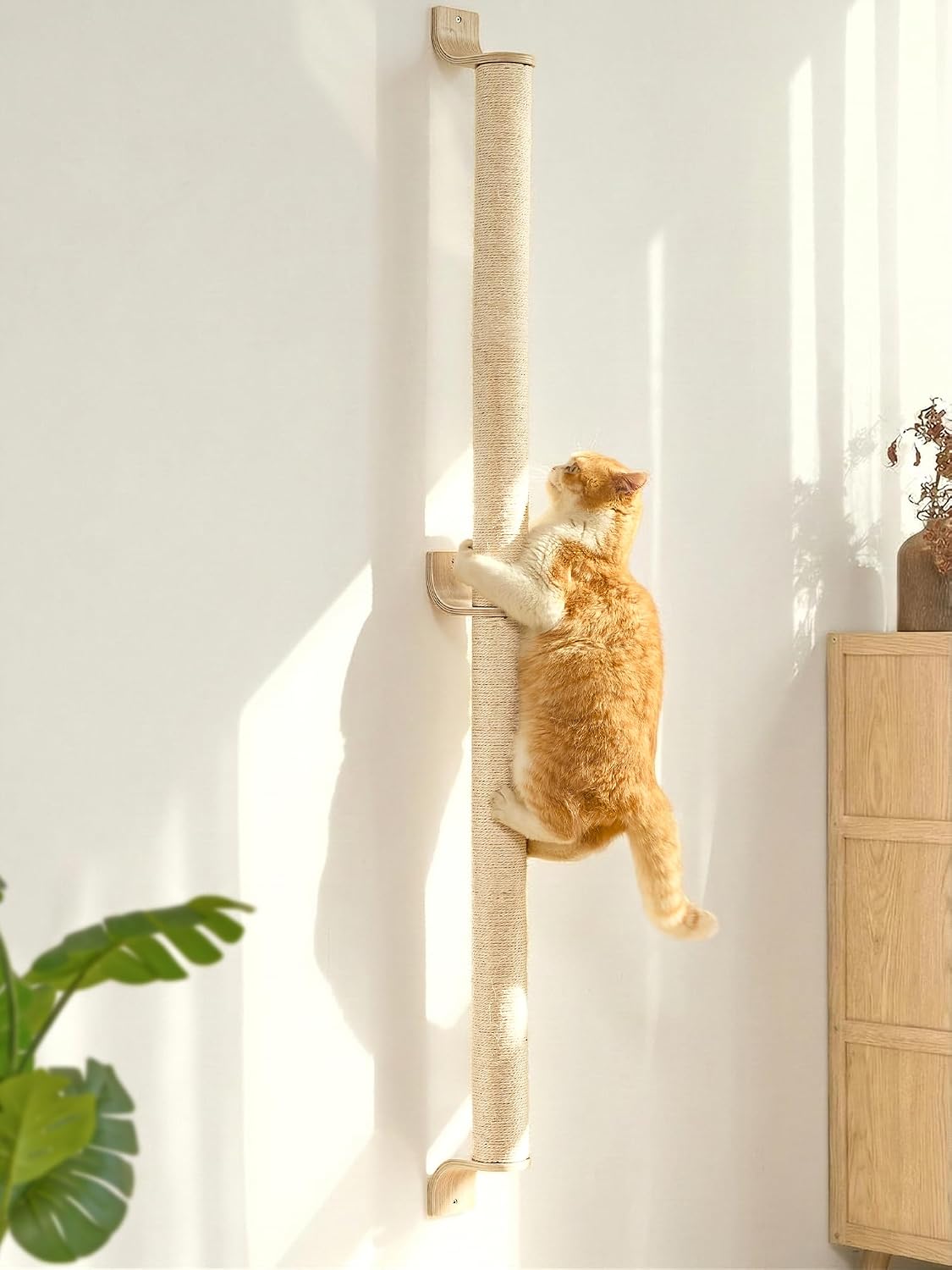FUKUMARU Cat Wall Scratcher, 60" Tall Kitten Scratching Post – Essentials for Cats - 60 inch