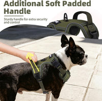 PUPTECK No Pull Halloween Dog Harness for Large - Green / Large / Harness Only - image 2