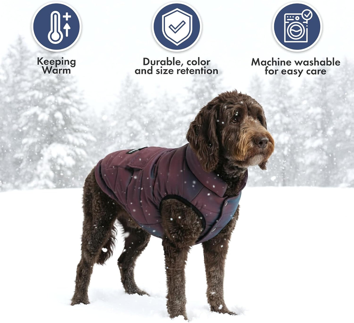 Spark Paws Dog Winter Coat Jacket - Cosmic / XX-Large - image 2
