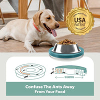 SoulThink ant proof pet bowl tray pair in two colors for cat and dog bowls - view 4