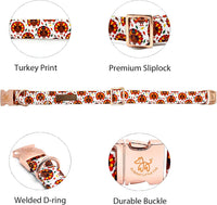 Elegant little tail Fall Dog Collar - Turkey / X-Small (Pack of 1) - image 2