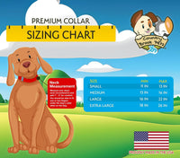 Country Brook Petz - Premium Nylon Dog Collar with Metal Buckle for Small Medium Large Breeds - 30+ - Extra Large (Pack of 1) / Ocean Blue - image 3