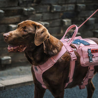 OneTigris Service Dog Vest Harness - M / Pink - image 4