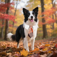 ADOGGYGO Fall Dog Neck Tie - Medium / Orange-2 - image 2