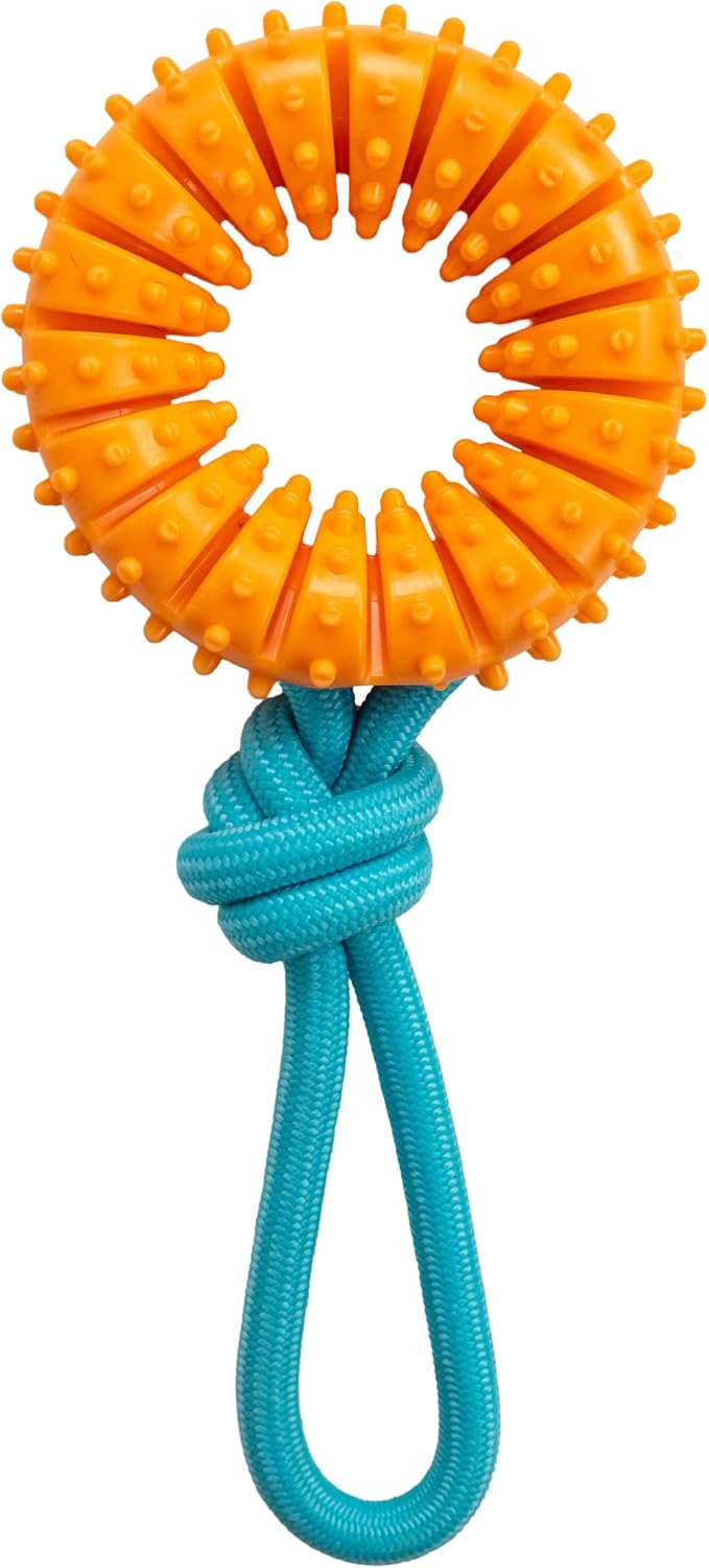 Cool Teething Stick Dental Dog Chew Toy, Soak & Freeze, 8.5" – Essentials for Dogs - Orange
