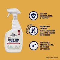 Rocco & Roxie Enzyme Stain & Odor Eliminator - Light Lemon / 32 Fl Oz (Pack of 1) - image 2