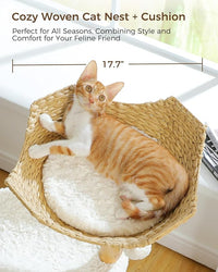 Modern Cat Tree Tower for Large Cats, Wood Cat Tower with Natural Scratching Post, Solid Wood Condo, Real Branch Luxury Cat Furniture with Curved Bed, Top Basket, White
