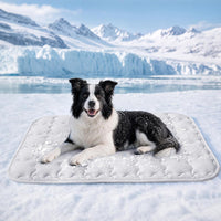 Luciphia Dog Cooling Mat, Q-MAX>0.5 Non-Slip Self-Cooling Pad for Pets – Essentials for Dogs - Light Grey / 40x60 inches