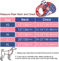 Denim Dog Harness with Star Print & Secure Buckle