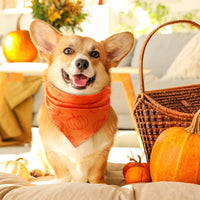 Chunful 100 Pcs Fall Dog Bandanas Bulk Maple Leaf Print Autumn Pet - Pumpkin / 25.6 x 17.7 x 17.7" - image 2