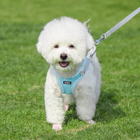 AIITLE Small Dog Harness and Leash Set, Step-in Puppy Pet Vest - XS(Chest: 11.5 - 13.5") / Blue - image 4