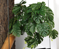2Pack Reptile Plants for Terrarium - A-fake Monstera - image 2
