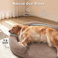 JOEJOY XL Orthopedic Dog Beds Large Sized Dog - Brown / L(36"x 27"x 6") - image 3