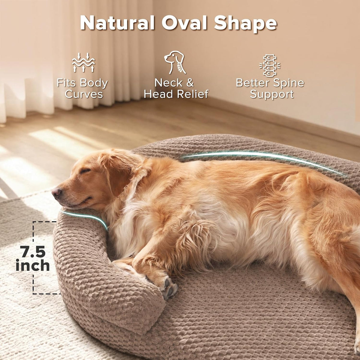 JOEJOY XL Orthopedic Dog Beds Large Sized Dog - Brown / L(36"x 27"x 6") - image 3