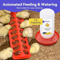 Pawaboo 5-in-1 Chicken Brooder Box for Chick Starter Kit, Includes Pet Cage Tent, Chicks Perch, Chick Feeder, 1.1L Chick Waterer, Baby Chick Supplies (Brooder Set), Green + Red + Wood Color