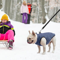 Winter Dog Vest Coat with Harness Built in – Essentials for Dogs - #1 Rolay Bule-Matte / L(Chest 19")-Regular - image 4