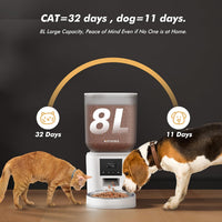 Automatic Cat Feeder for 2 Cats, Timed Cat Food Dispenser - White / Standard-One Bowl - image 2