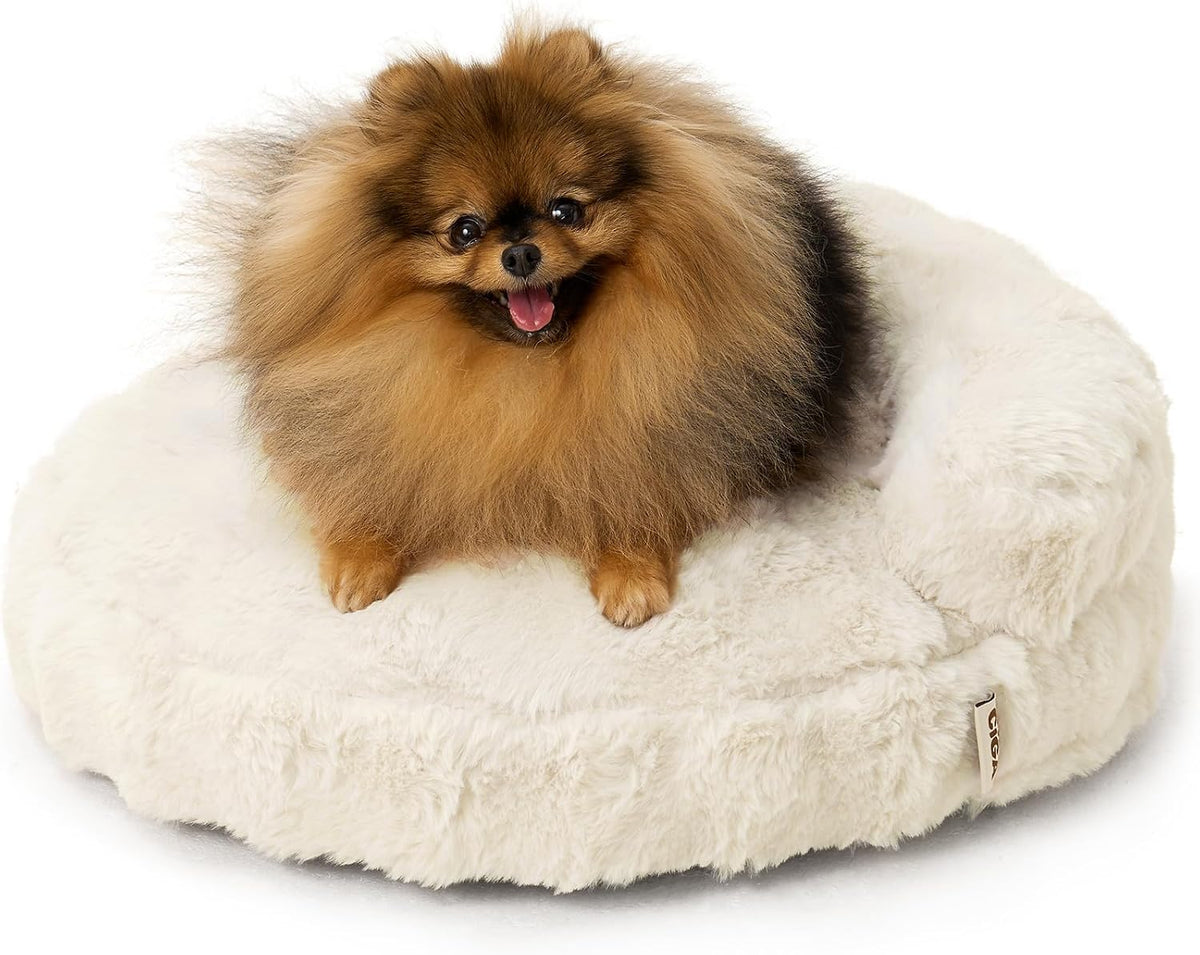 EHEYCIGA Soft Cat Couch Bed for Indoor Cats - 20"L x 20"W x 6.5"Th / Cream