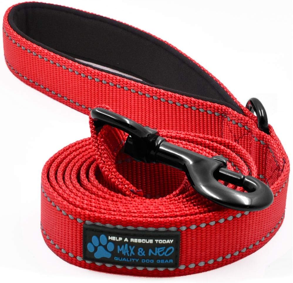 Max and Neo Reflective Nylon Dog Leash - 4 FT x 1" Wide / RED