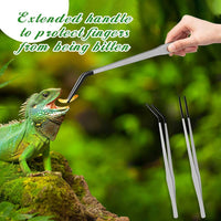 Lasnten 2 Pcs Reptile Feeding Tongs, Long - Silver / 15 Inch - image 3