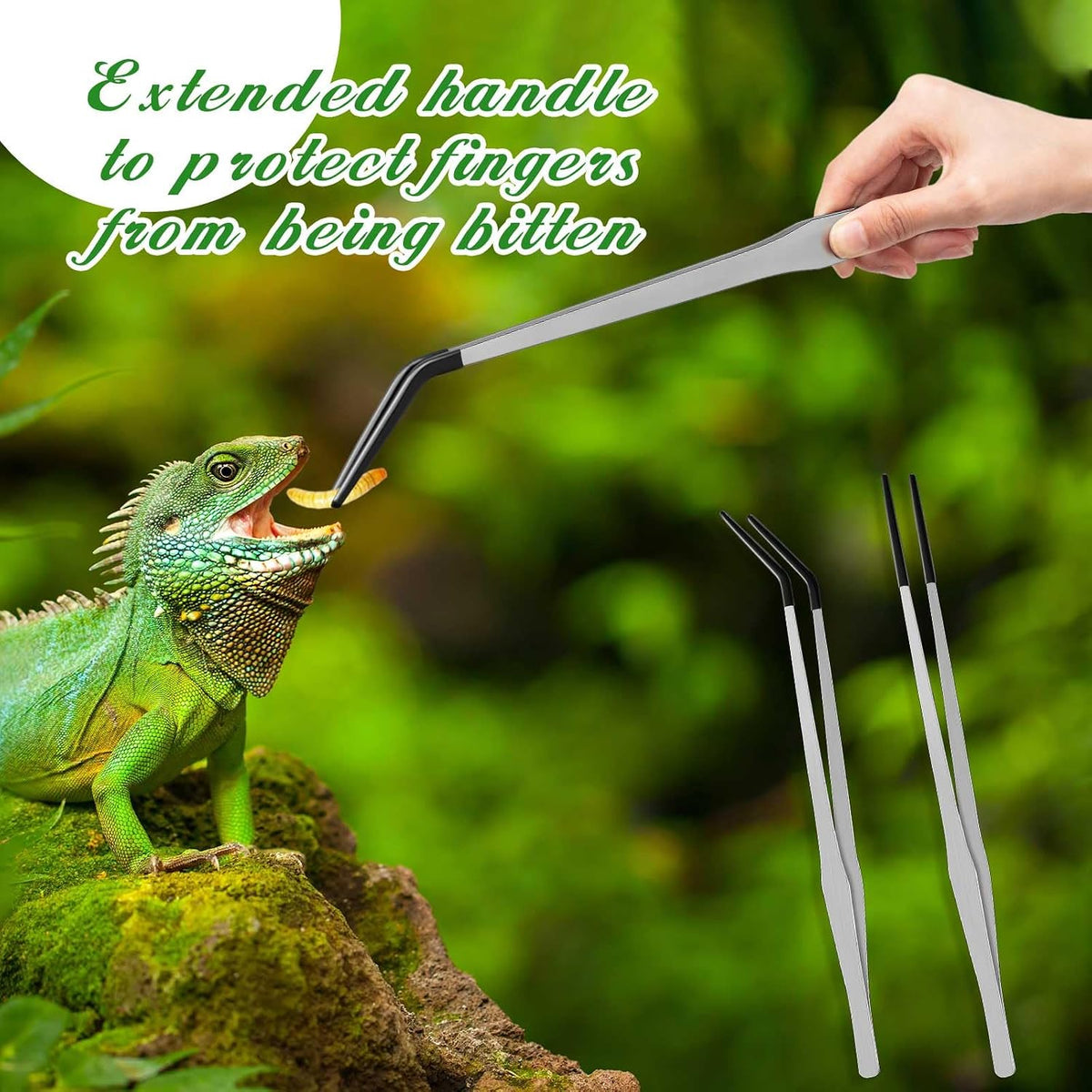 Lasnten 2 Pcs Reptile Feeding Tongs, Long - Silver / 15 Inch - image 3