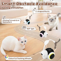 SlowTon Cat Interactive Toy for Indoor Cats - Remote Control Automatic Smart Moving Cats Toys with 2 Modes, Rechargeable Kitten Feather Toys for All Breeds of Bored Cat(Black)
