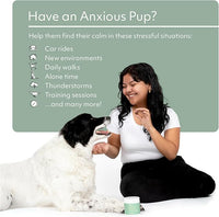 Reggie Anytime Calming Chews for Dogs | Natural Calming Dog Treats to Reduce Hyperactivity, Separation Anxiety, & Stress | Vet-Approved & Ideal for All Ages, Breeds, and Sizes - 60 Soft Chews
